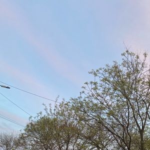 Meet your Posher, Annette